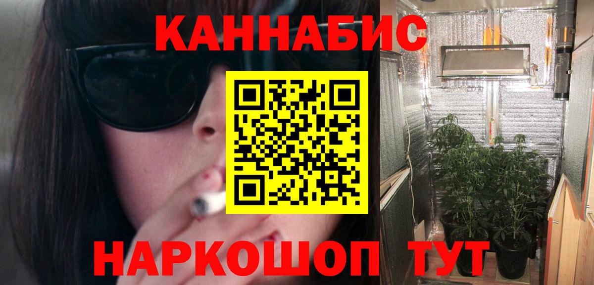 Конопля сатива Зима